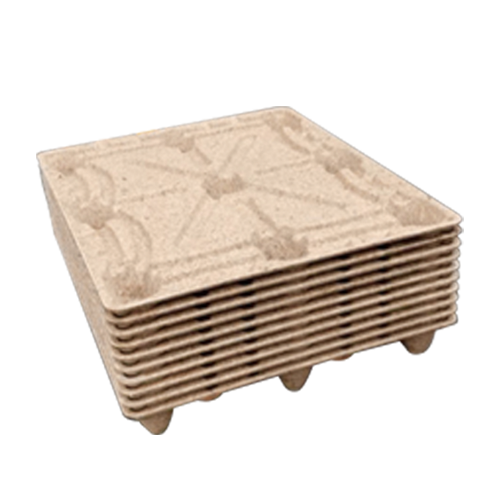 tray