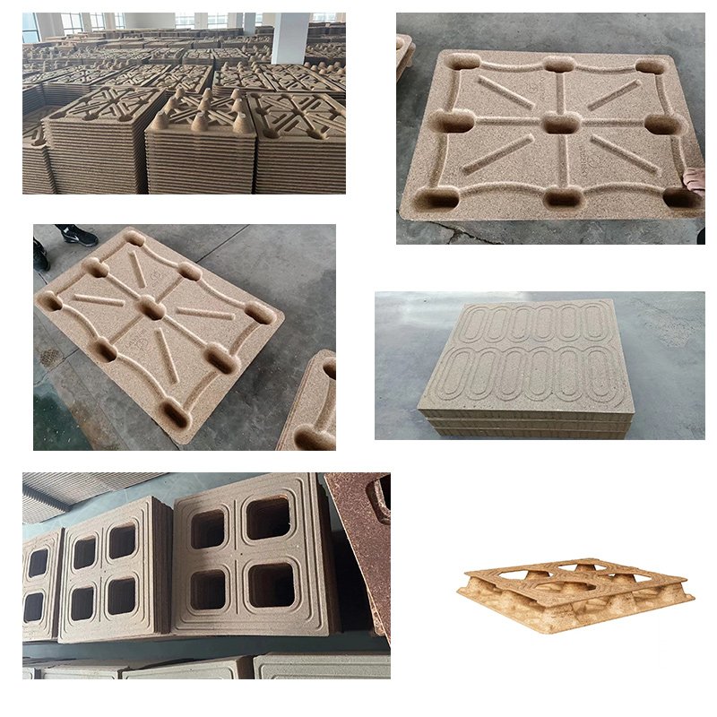 1250-ton Coconut Shell Pallet Press